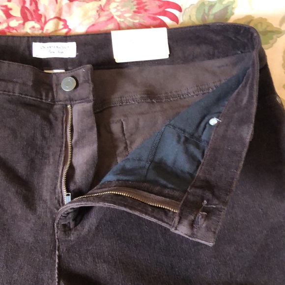 CHARTER CLUB Size 14 Short Corduroy Tummy Slim Panel Chocolate Brown Stretch NEW - Picture 11 of 16